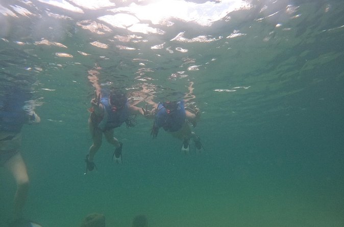 San Juan Turtle Spotting Snorkel Adventure with Videos - Guides who make first-timers feel safe
