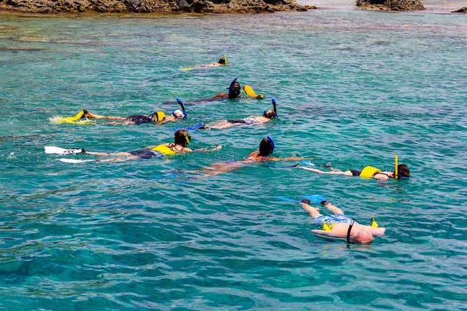 Sand Dollar Half Day Snorkel Trip - Snorkeling at Creole Rock: gear, jump-in rhythm, and wildlife odds