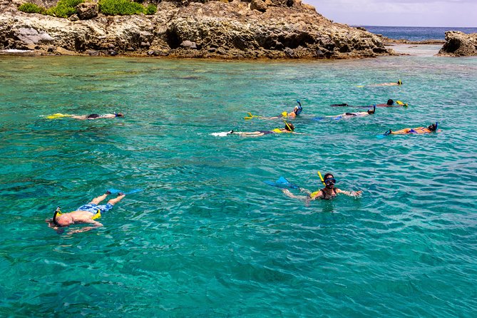 Sand Dollar Half Day Snorkel Trip - Sea life sightings you can realistically hope for