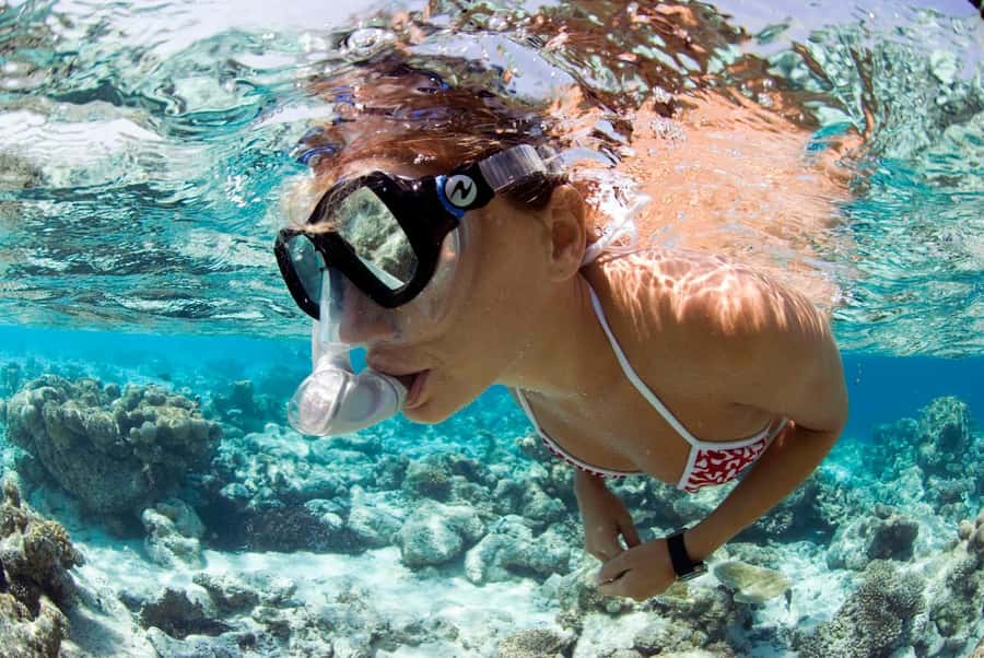 Santa Maria: Guided Snorkeling and Reef Tour - Key points before you go