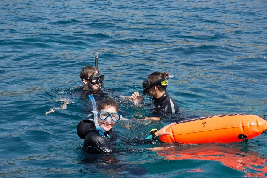 Santa Ponsa: Snorkeling Tour in a Marine Reserve - Who This Snorkeling Tour Fits Best