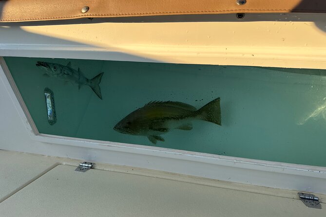 Santorini Fishing Private Cruise boat tour - BBQ, Snorkeling - Price and Value: Is $514 Per Person Actually Fair?