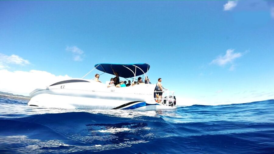 São Miguel: Glass Bottom Boat Tour with Snorkeling - Getting Oriented at Vila Franca do Campo Marina