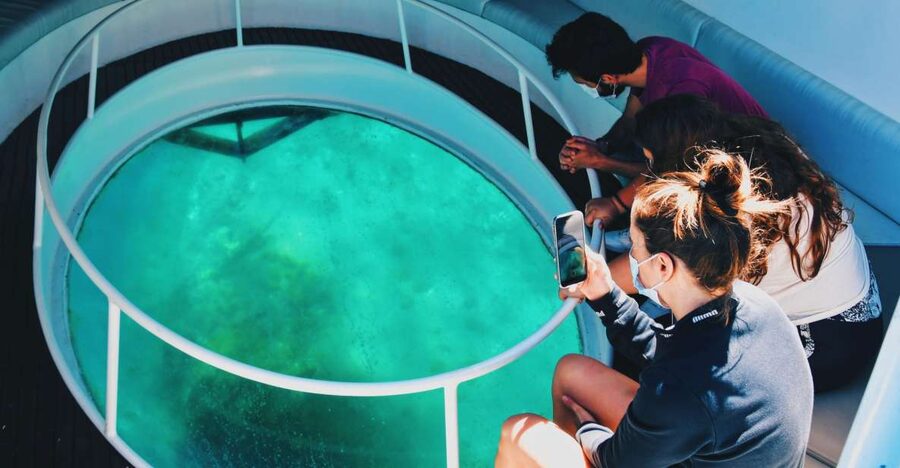 São Miguel: Glass Bottom Boat Tour with Snorkeling - The Biologist Briefing: Fish, Crustaceans, and Underwater Clues