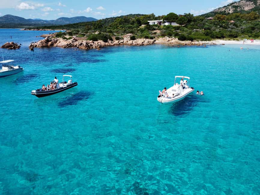 Sardegna: Tavolara Boat Tour with Snorkeling - Dolphins and how the guide keeps the day flexible