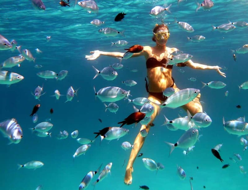 Sardinia: Morning Kayak Tour + Snorkeling and Local Aperitif - First contact at Cala Suaraccia: where the day starts