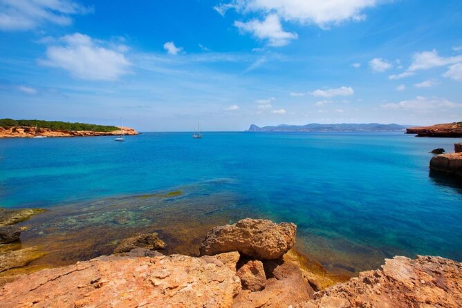 Sea Caves & Coves Snorkeling Paddle Boarding Tour - Key highlights you’ll actually care about