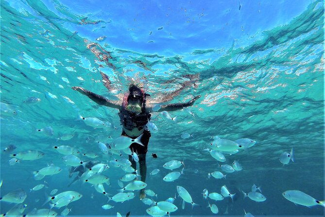 Sea Caves & Coves Snorkeling Paddle Boarding Tour - Gear, comfort, and the safety realities of sea-cave snorkeling