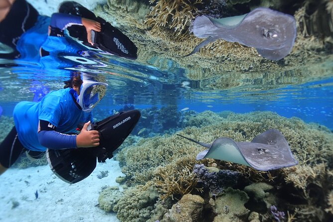 Sea Scooter Jet Snorkeling "Moorea Dream Adventure" - Managing time: how the 3-stop structure helps you see more