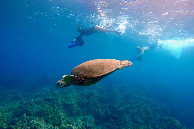 Sea Scooter Snorkeling Tour with GoPro - Wailea Beach - The 1.5-hour rhythm: what happens from check-in to back on land