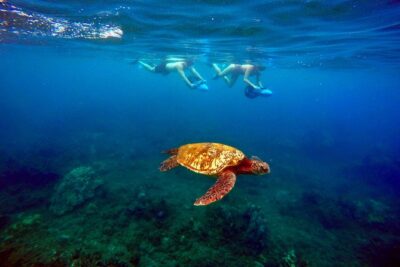 Sea Scooter Snorkeling Tour with GoPro - Wailea Beach - Sea scooter basics: more reef time, less arm fatigue