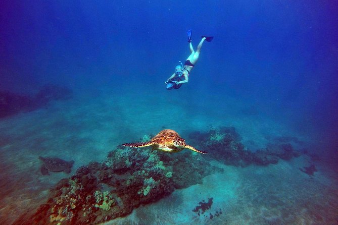 Sea Scooter Snorkeling Tour with GoPro - Wailea Beach - Gear check: goggles, wetsuit top, and the GoPro-style capture