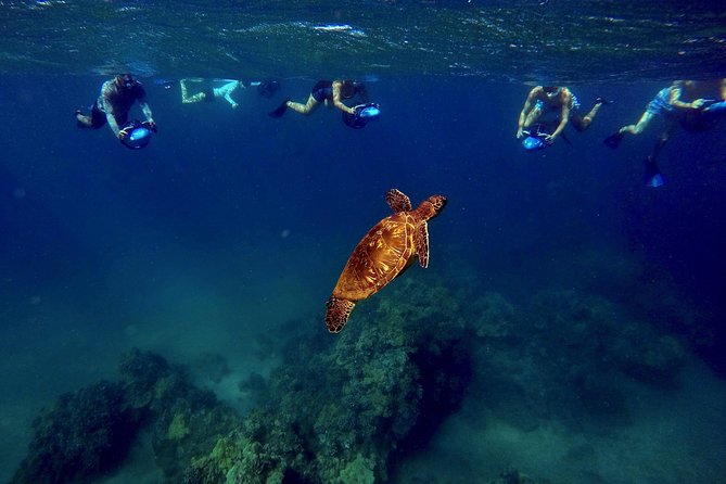 Sea Scooter Snorkeling Tour with GoPro - Wailea Beach - Price and value: is $149 worth it?