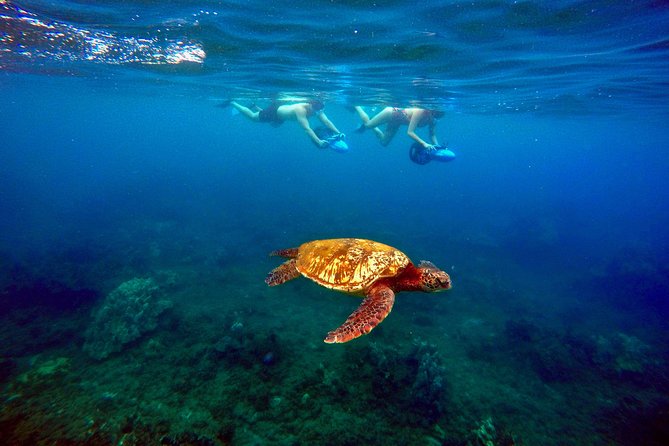 Sea Scooter Snorkeling Tour with GoPro - Wailea Beach - Sea scooter basics: more reef time, less arm fatigue