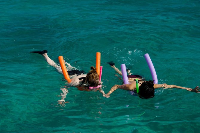 Shallow Water Snorkeling and Dolphin Watching in Key West - Shallow-water snorkeling over reef and shipwreck: what you’ll see