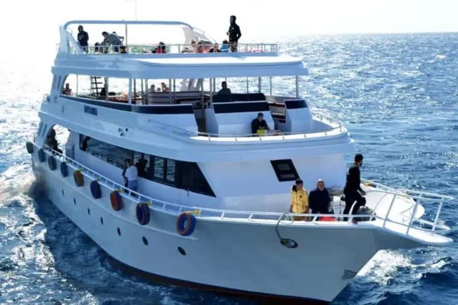 Sharm El Sheikh: Ras Mohamed & White Island Dive & Snorkel - Hotel Pickup to Yacht: The Day Starts Easy