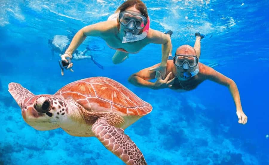 Sharm El Sheikh: Ras Mohamed & White Island Dive & Snorkel - Intro Scuba for First Timers (Up to 7 Meters)