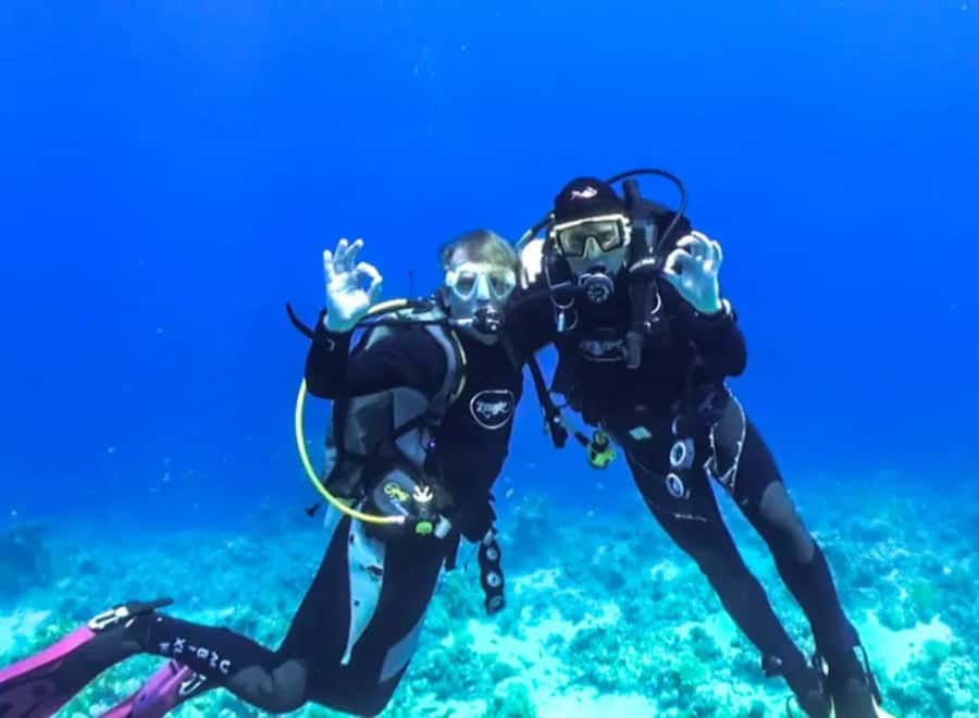Sharm El Sheikh: Ras Mohamed & White Island Dive & Snorkel - Price and Logistics: Is $29 Really Good Value?