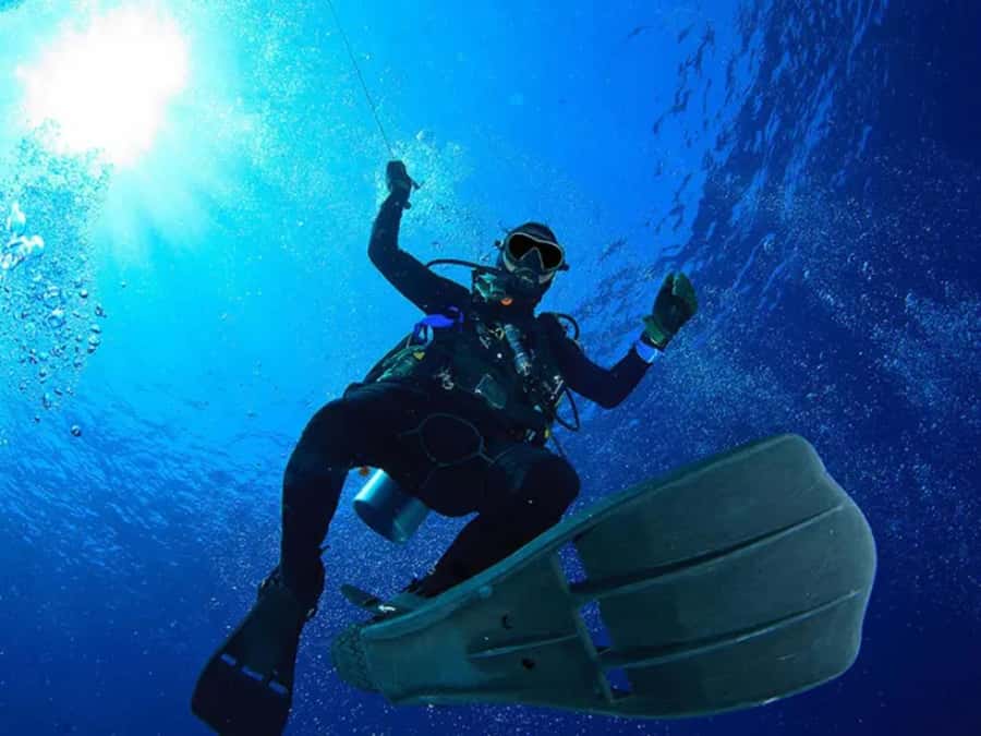 Sharm El Sheikh: Ras Mohamed & White Island Dive & Snorkel - Who Should Book This Red Sea Day