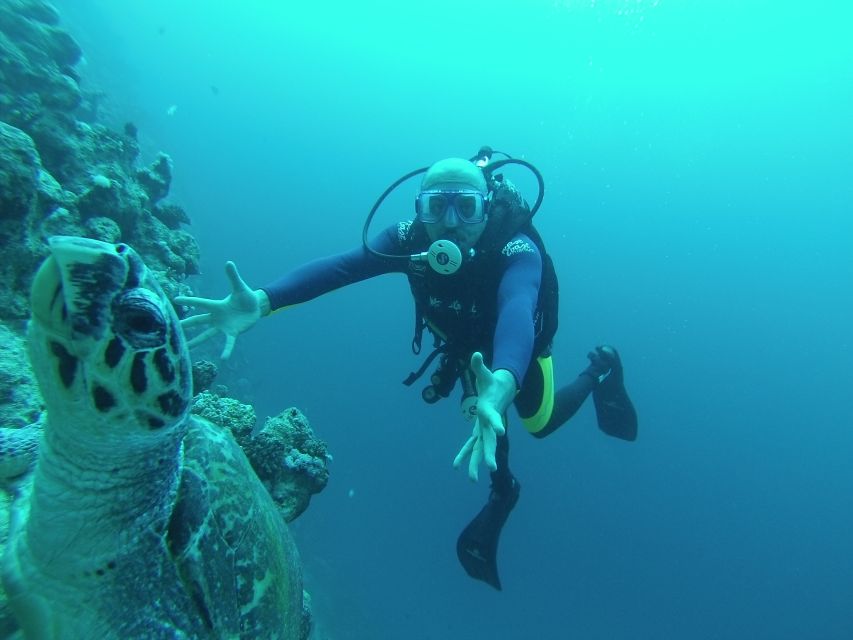 Sharm El Sheikh: Ras Mohamed & White Island Snorkel or Dive - Ras Mohamed underwater time: what you can expect to see (and why it feels easier)