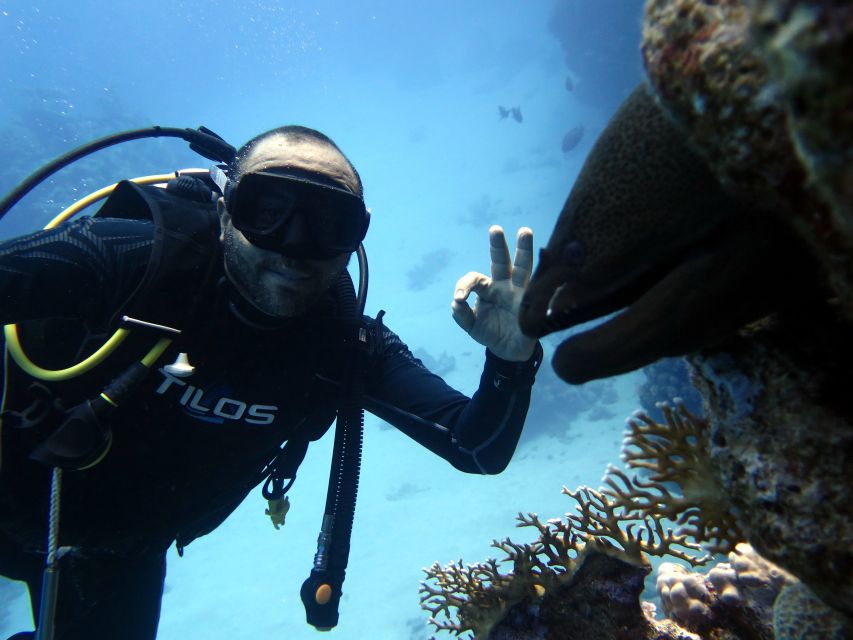 Sharm El Sheikh: Ras Mohamed & White Island Snorkel or Dive - Should you book this Ras Mohamed and White Island trip with Hunter Divers?