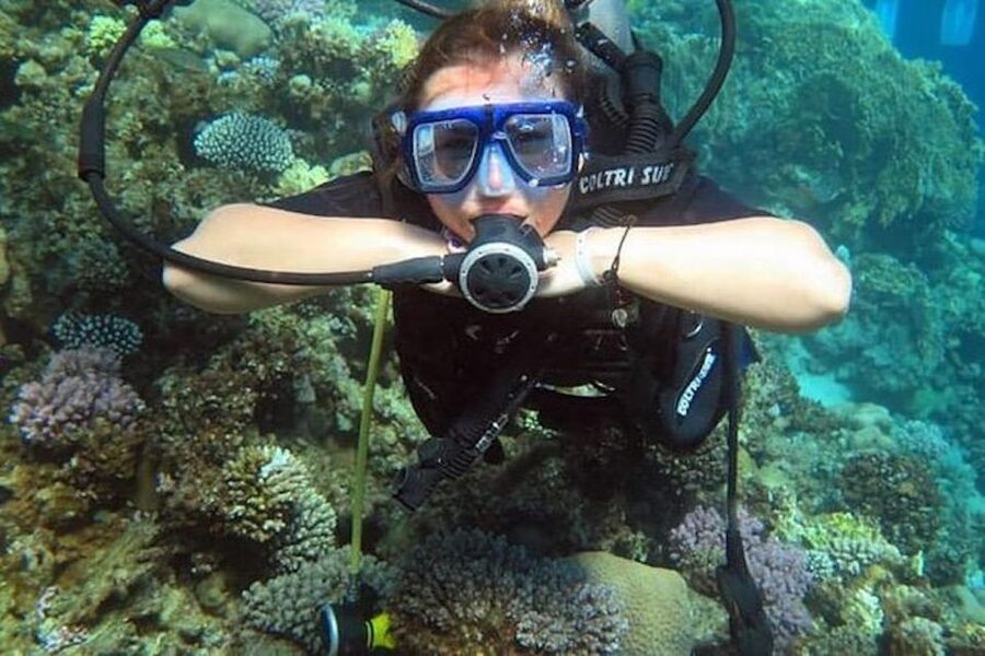 Sharm El Sheikh: Ras Mohamed & White Island Snorkel or Dive - From hotel pickup to captain briefing: how the day stays organized