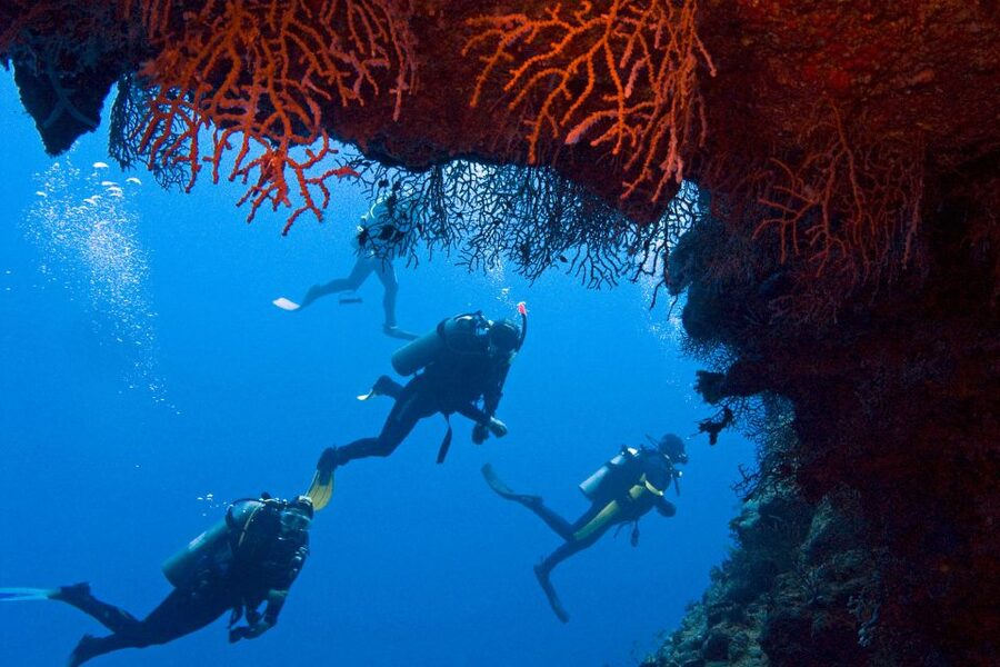 Sharm El-Sheikh: Ras Mohamed & White Island Snorkeling Trip - Key highlights I’d plan around
