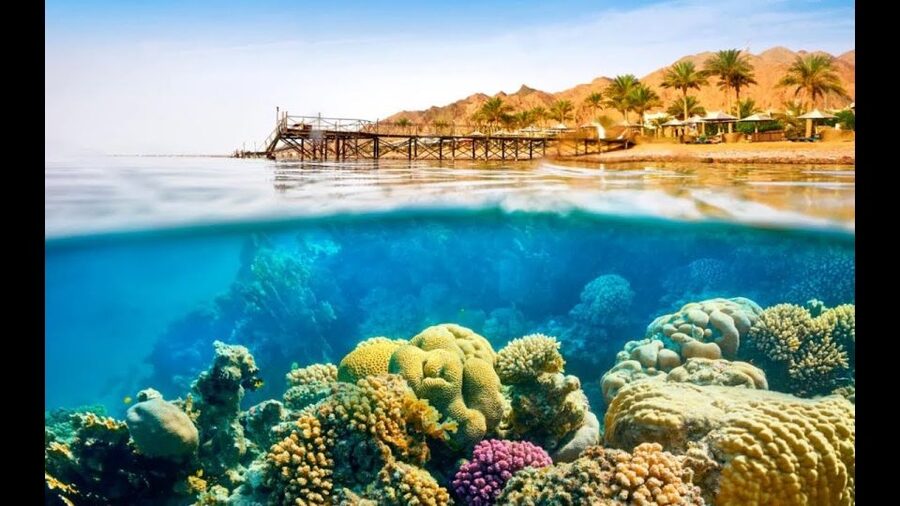 Sharm El-Sheikh: Ras Mohamed & White Island Snorkeling Trip - Who should book this trip