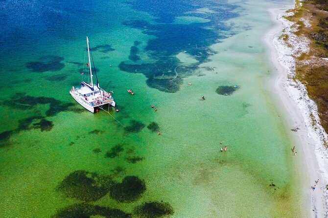 Shell Island Snorkel and Dolphin Catamaran Cruise with Island Time - Key highlights