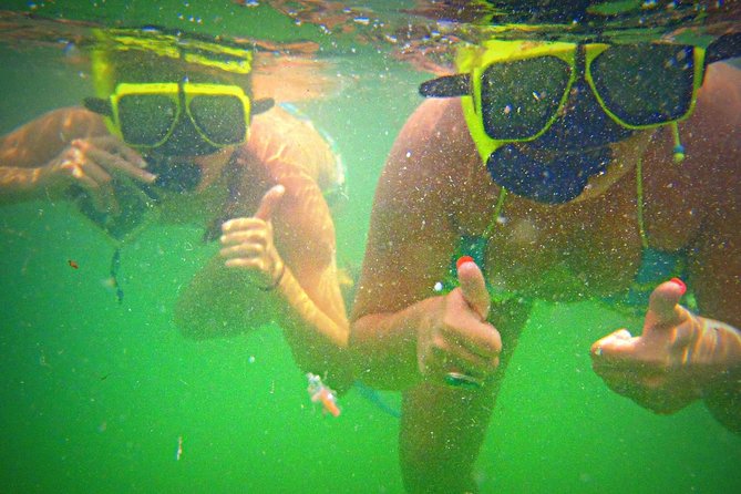 Shell Island Snorkel and Dolphin Catamaran Cruise with Island Time - Crew, Music, and the Rum Punch Bar: What’s Worth Buying