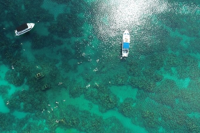 Shipwreck Snorkel in Bermuda - Why Bermuda wreck snorkeling is different than a typical reef trip