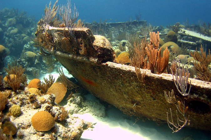 Shipwreck Snorkel in Bermuda - Montana and Constellation: your main hour in the water