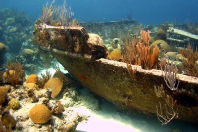 Shipwreck Snorkel in Bermuda - Royal Naval Dockyard check-in and what the boat setup means for you