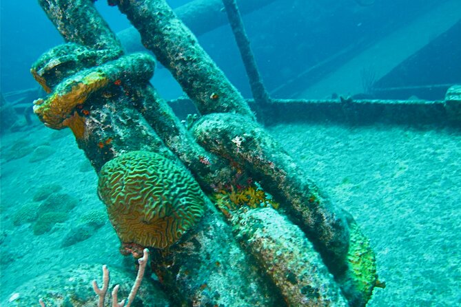 Shipwreck Snorkel in Bermuda - When seas get rough: glass-bottom and shoreline reef backups