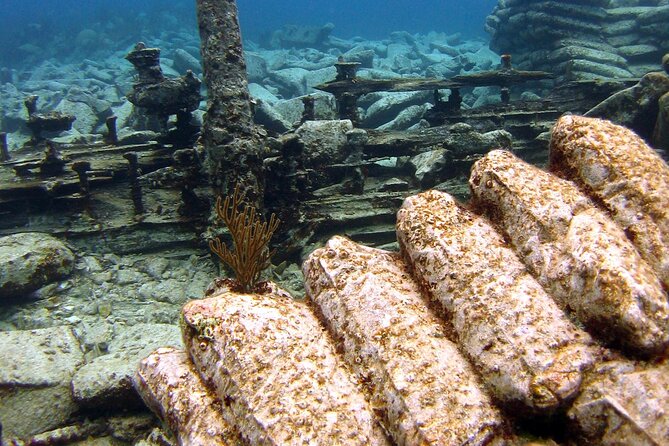 Shipwreck Snorkel in Bermuda - Price and value: $105 for 3 hours of reef + wreck time