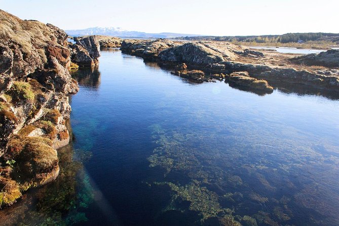 Silfra Drysuit Snorkeling Tour with Free Photos - From Reykjavik - Free Underwater Photos: Worth It, If You Plan for Them