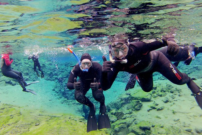Silfra Drysuit Snorkeling with Free Photos - Meet on Location - Price Check: What $140 Buys You (and Why It’s Not Just a Random Excursion)