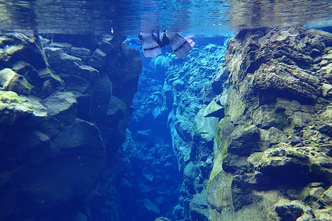 Silfra Fissure Snorkeling From Reykjavík - Free Underwater Photos - In-Water Highlights: Scenic Spots and the “Two Continents” Moment