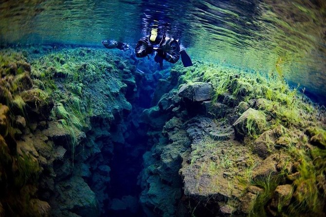 Silfra Fissure Snorkeling From Reykjavík - Free Underwater Photos - Guides and Personal Attention: Why It Matters in Cold Water