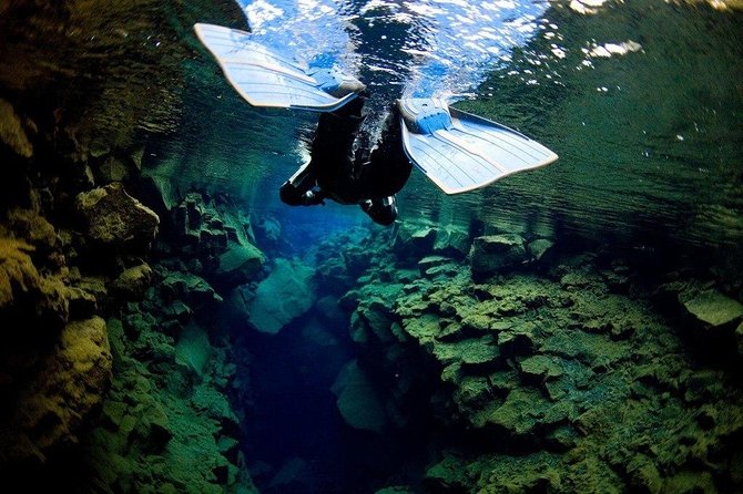 Silfra Fissure Snorkeling From Reykjavík - Free Underwater Photos - Price and Value: What You’re Paying For