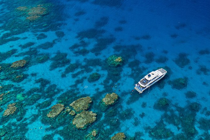 Silverswift Dive and Snorkel Great Barrier Reef Cruise - Key highlights to know before you go