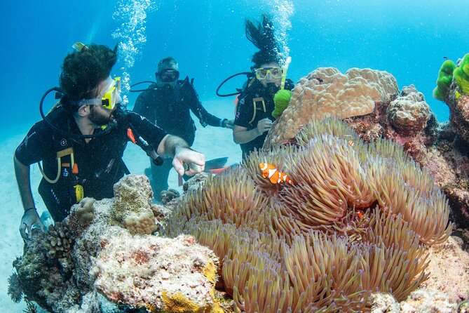 Silverswift Dive and Snorkel Great Barrier Reef Cruise - Getting on board Silverswift from Cairns