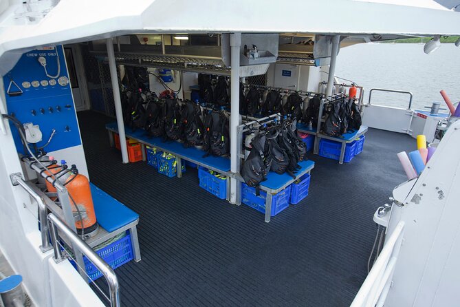 Silverswift Dive and Snorkel Great Barrier Reef Cruise - What the crew does that makes the difference
