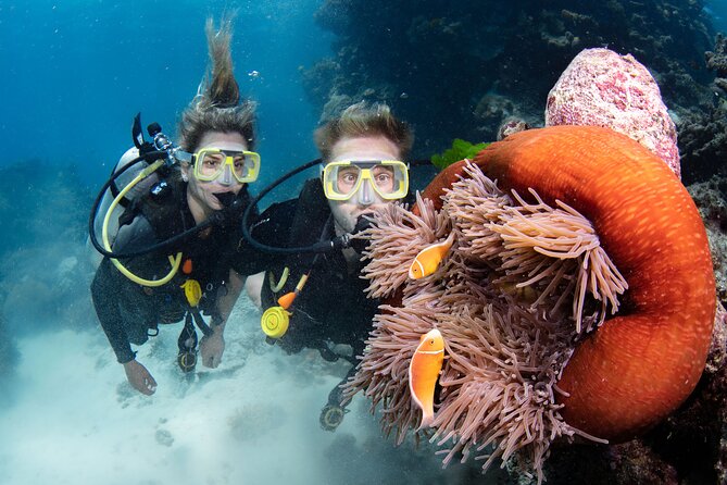 Silverswift Dive and Snorkel Great Barrier Reef Cruise - Boat comfort details you’ll feel on the return trip