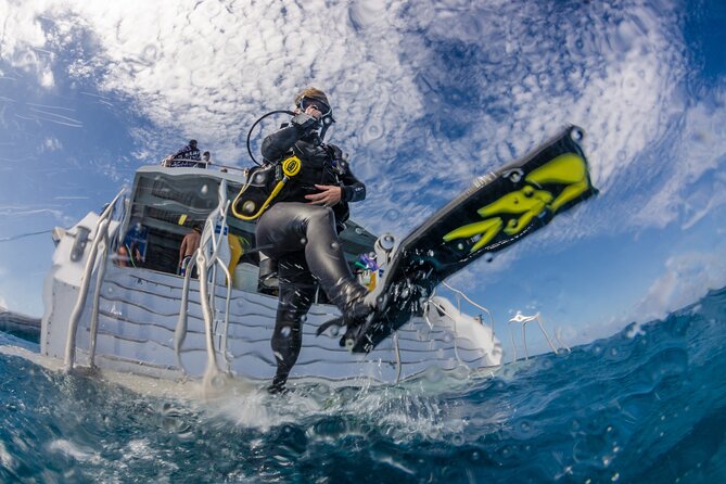 Silverswift Dive and Snorkel Great Barrier Reef Cruise - Cost and value: what you get for $212.30