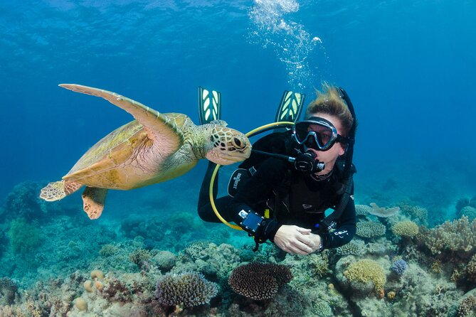 Silverswift Dive and Snorkel Great Barrier Reef Cruise - Budget extras: photos, GoPros, and wet suit hire