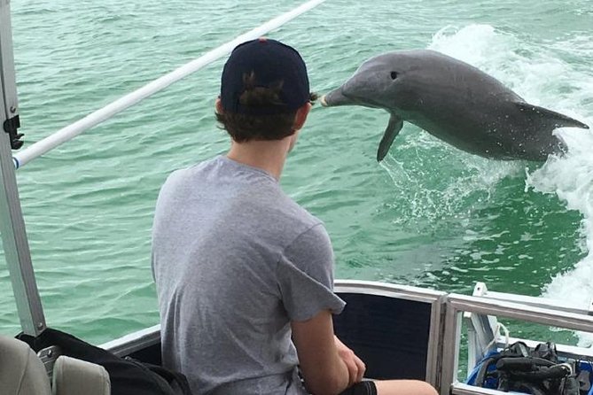 Small Group 2 Hour Dolphin Cruise with Snorkeling to Shell Key - The boat ride: comfy 25-foot luxury pontoon on Tampa Bay
