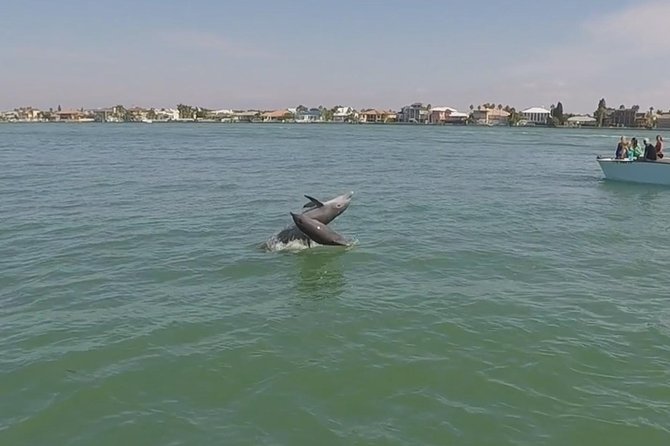Small Group 2 Hour Dolphin Cruise with Snorkeling to Shell Key - Snorkeling reality check: why this feels different than you expect