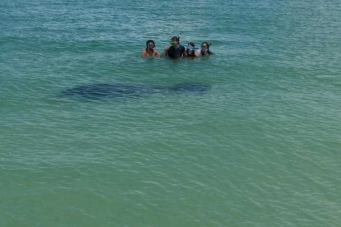 Small Group 2 Hour Dolphin Cruise with Snorkeling to Shell Key - Captains make the difference: Noel, Dave, and Megan’s style