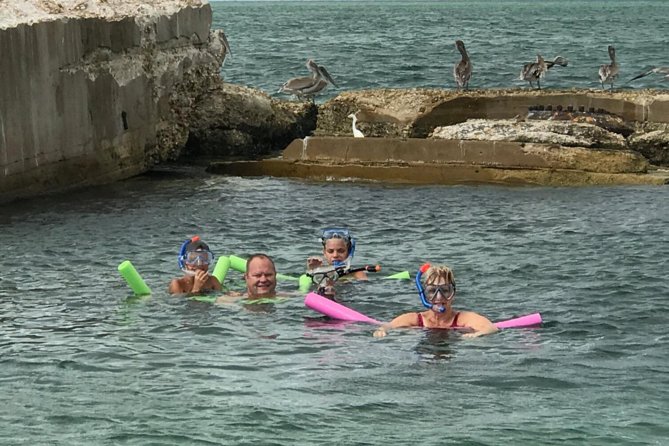Small Group 2 Hour Dolphin Cruise with Snorkeling to Shell Key - Boca Ciega Bay wildlife time: what you’re actually hunting for